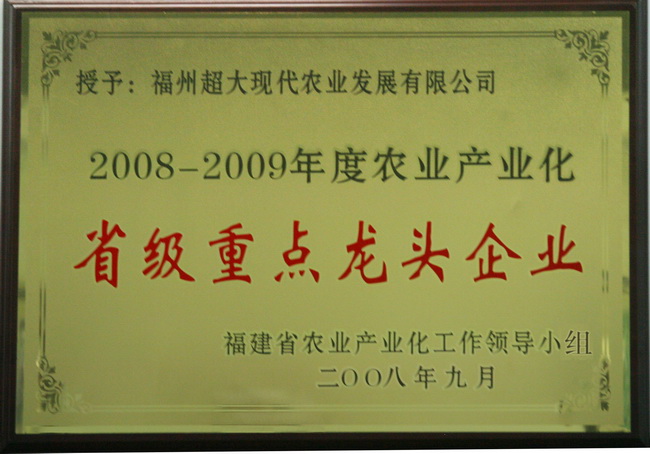 超大 超大現(xiàn)代農(nóng)業(yè) 超大現(xiàn)代農(nóng)業(yè)集團(tuán)