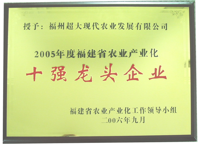 超大 超大現(xiàn)代農(nóng)業(yè) 超大現(xiàn)代農(nóng)業(yè)集團